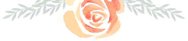 flowers_top A white and pink flower a the top with a white background