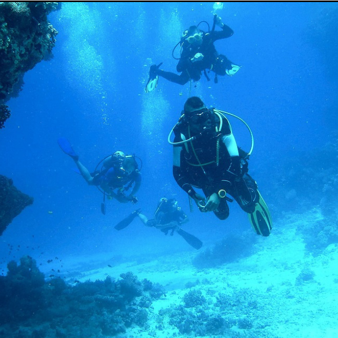 A group of divers diving underwater